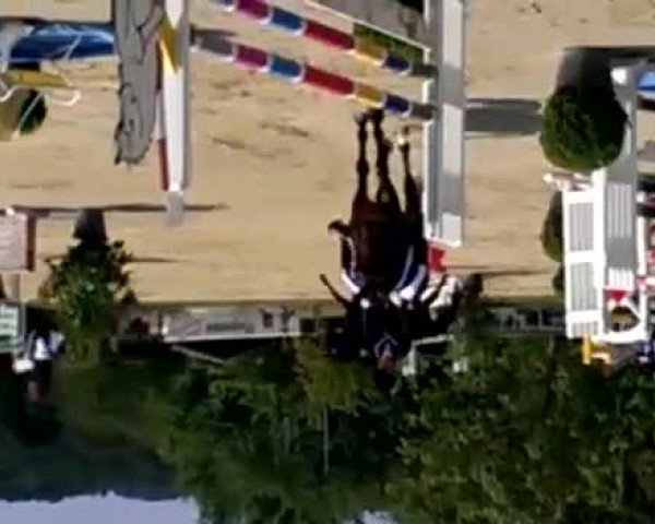 Video of Domina ITT