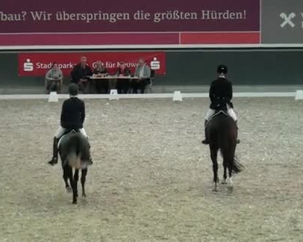 Video of Petit Platini