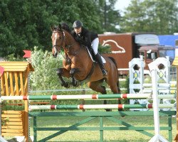 jumper Alita C (KWPN (Royal Dutch Sporthorse), 2005, from Indoctro)