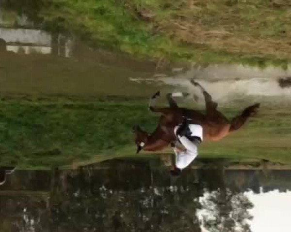 Video von Vaya Condia