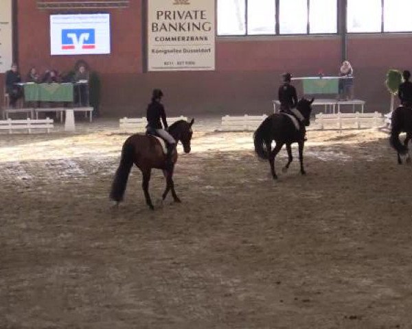 Video von Sphinx, Winston 394