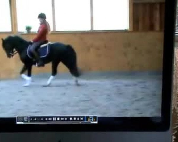 Video von Boogie Woogie
