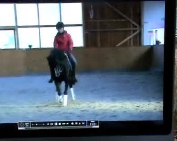Video von Boogie Woogie
