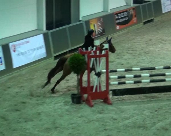Mönchengladbach-Abtshof 2014