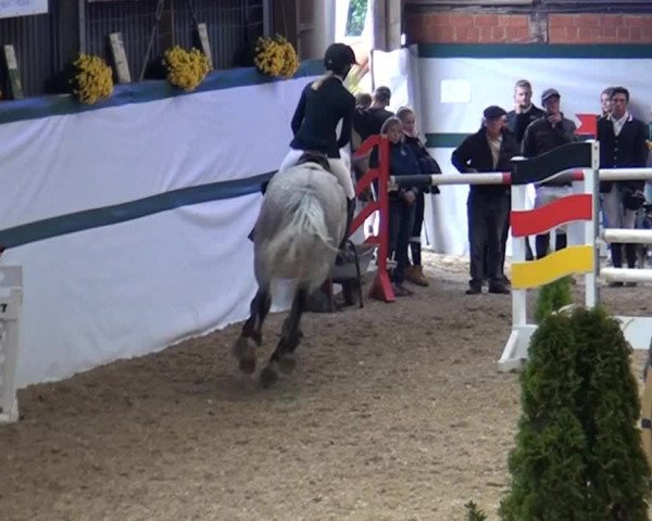 Monheim - Gut Blee 2014