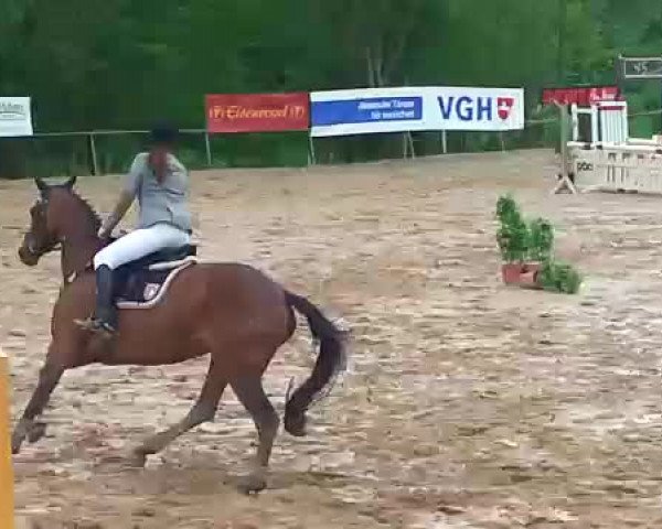 Video von Dulcinea 36