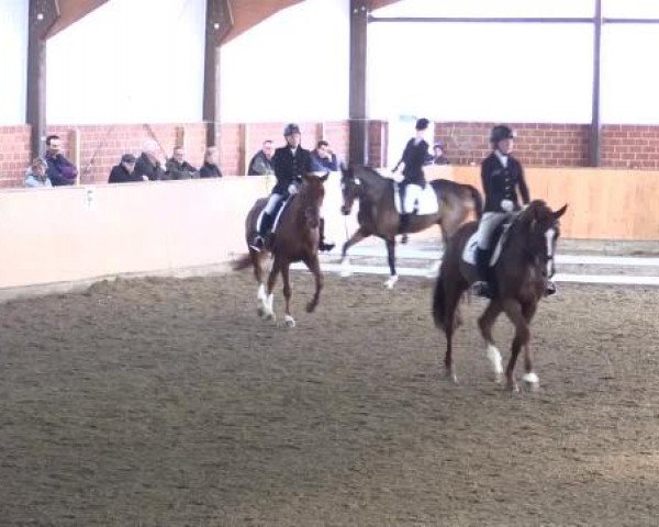 Video of Clever and Smart, Destino 79, Ashanti R.