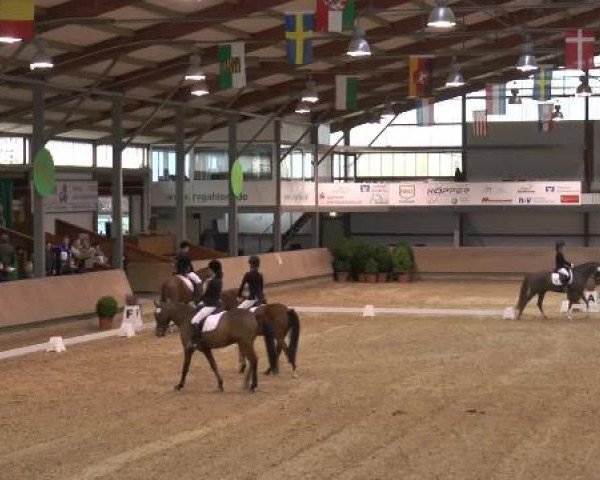 Video of Diamond Girl H, Giro-L, Dr.dolittle 6