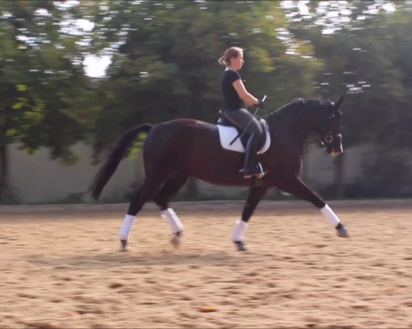 Video von Hagedorn 5