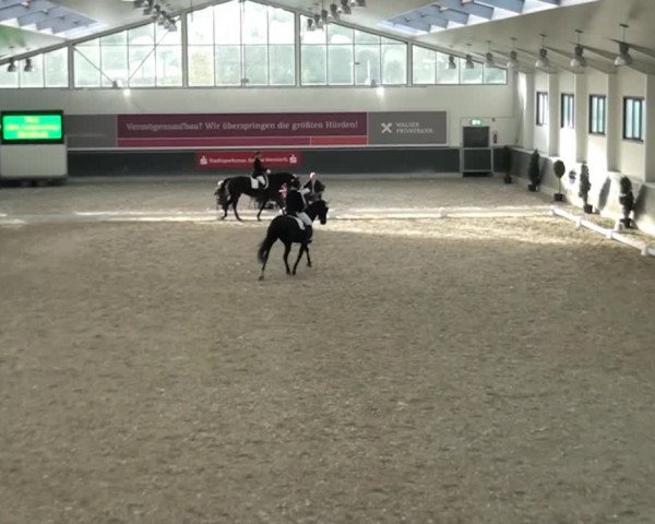 Video of Erle 230
