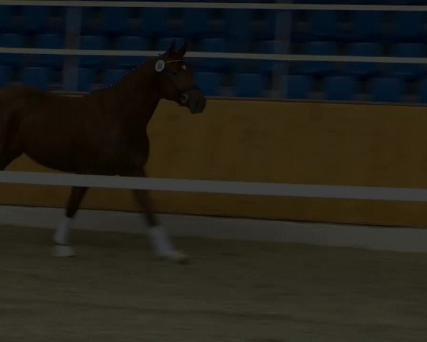 Video von Destano