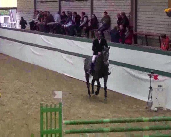 Monheim - Gut Blee 09.10.2014
06/2 offen- 4 und 5 Jährige