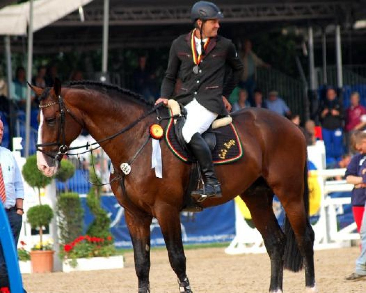 stallion Coco Bongo Boy (Rhinelander, 2008, from Cassini Boy Junior)