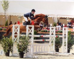 jumper Nino 182 (KWPN (Royal Dutch Sporthorse), 2000, from Nassau)