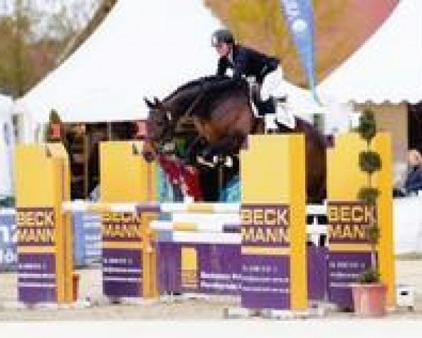 jumper Finja As (Westphalian, 2007, from Flovino)