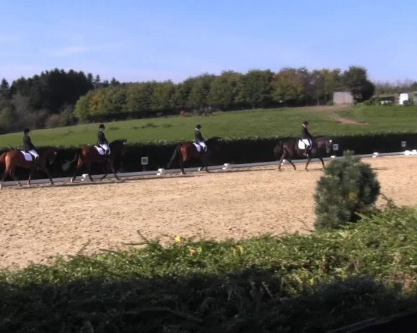 Video von Up To You, Pedro 1022, Chili Chocolate 5
