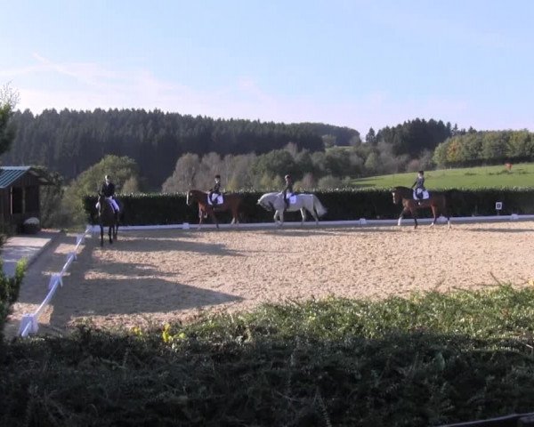 Video of Salieri 21, Quirabelle 2
