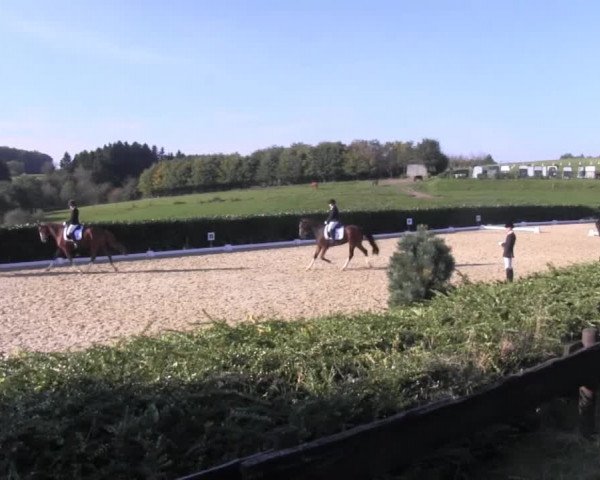 Video of Luiggi 9, Armany 9, Lady Hill