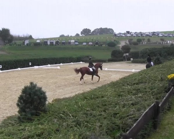 Video of Kaika's Krack