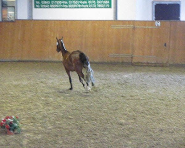 Video of Chanel
