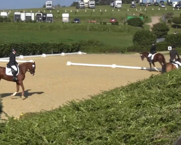 Video of Valido's Victory, Novedana, Casper 315