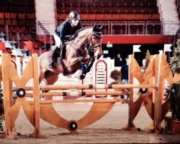jumper Little Lolle (Westphalian, 2002, from Limbus)