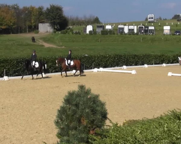 Video von Koriander 15, Naomi 369, Merlin 1030