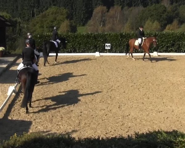RTG Silberberghof Kreismeisterschaft 2014