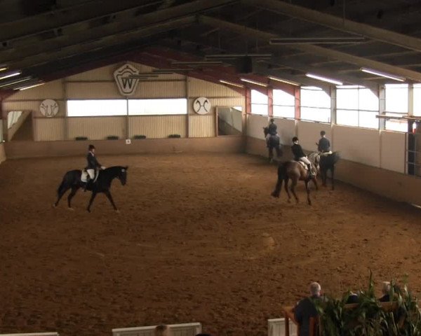 Video of Flora Romantica, Donna Carina 7, Fritzchen 71