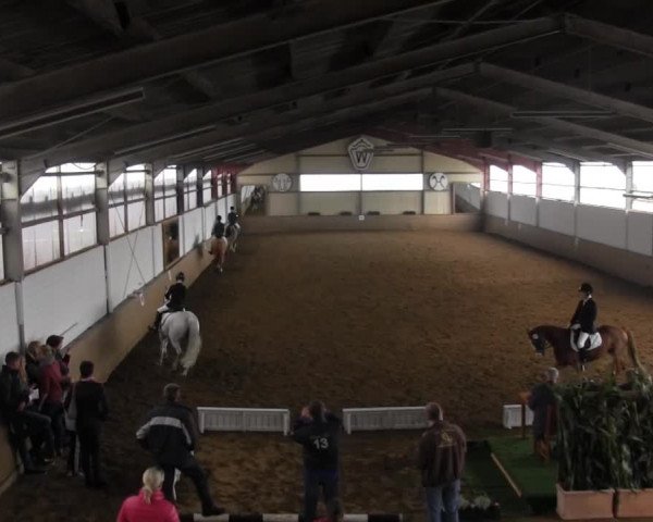Video von Mernocino, Minerva Nadira, Nancy