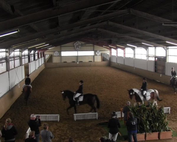 Video of Campari 248, Cisna, Conny 354