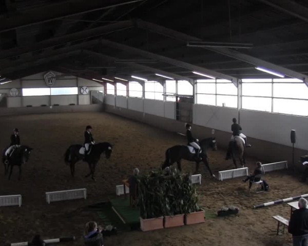Video von Octavia V, Lanciano 70, Frieda 185
