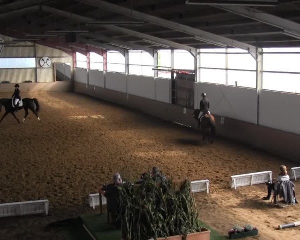 Video of Jacky Boy 2