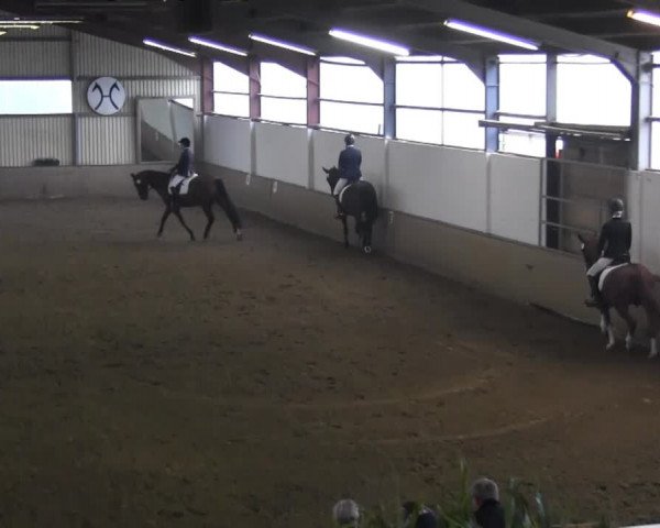 Video von Figo 53