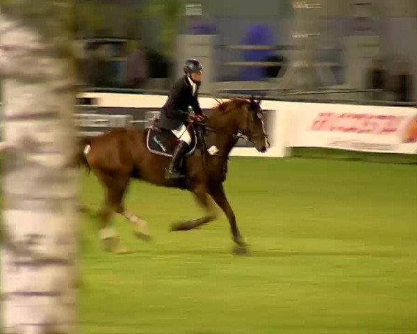Video von Royal Lady 36