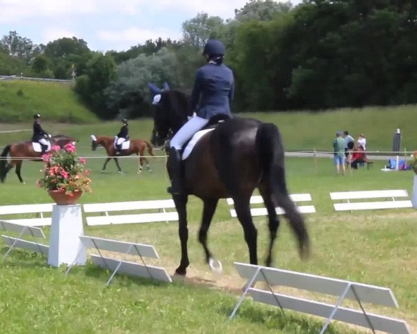 Video of Goodman