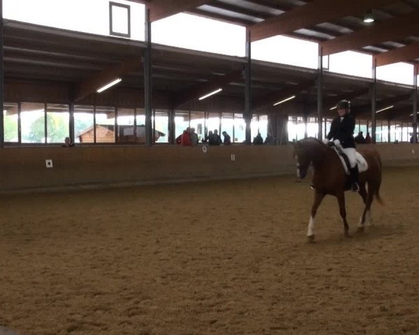 Video de Clara Fall, Chapeau Claque 24, Duett 82