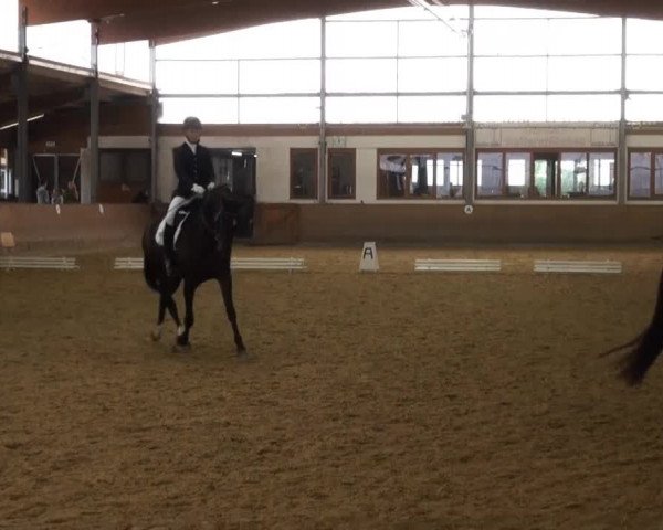 Video von San Miguel G, Fleur De Lys 18, Stalyptic