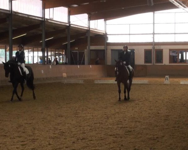 Video of Annalena D, Diamond Girl 21, Don Camillo 245
