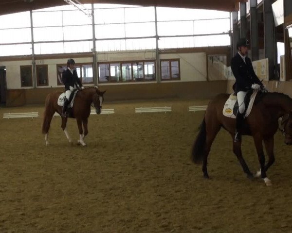 Video of Quadriga 33