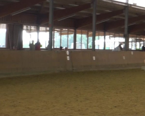 Video von Rock of Stars