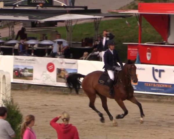 Witzheldener Reitertage 2014 11.09.2014
22 
