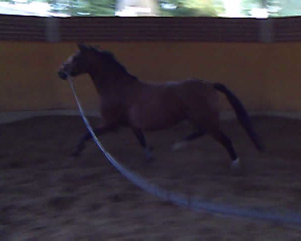Video von Chikita
