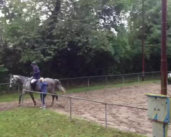 Video von Chuccaccino
