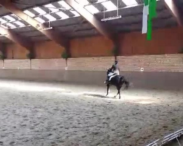 Video von Pagera