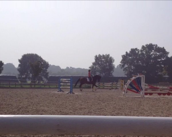 Video von Hadassa