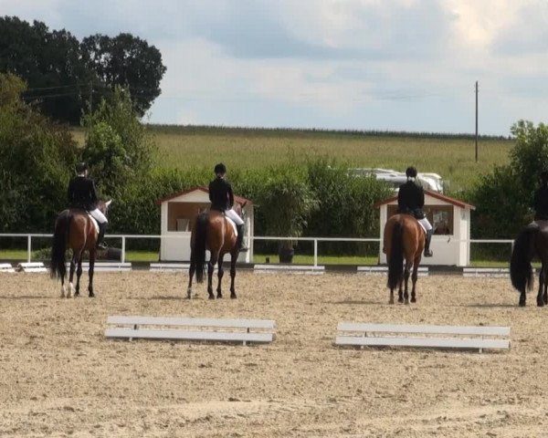 Video of Quadriga 22, Puma 32, Rania 39