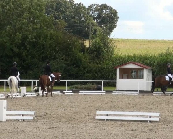 Video of Sternzauber 3, Sissi, Rüdiger Rabaucke