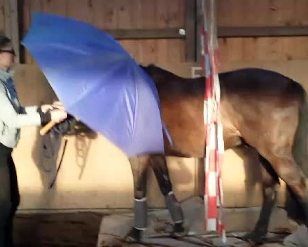 Video di Landur