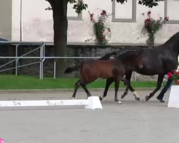 Video von Forrest Gump